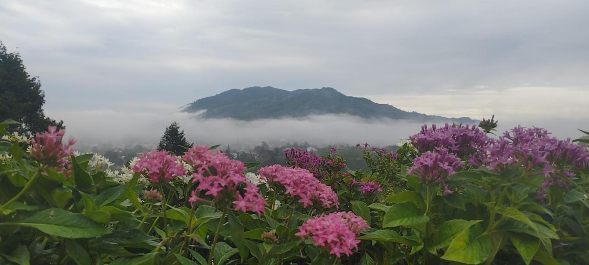 Homestay Chan Que Bao Loc Exteriör bild