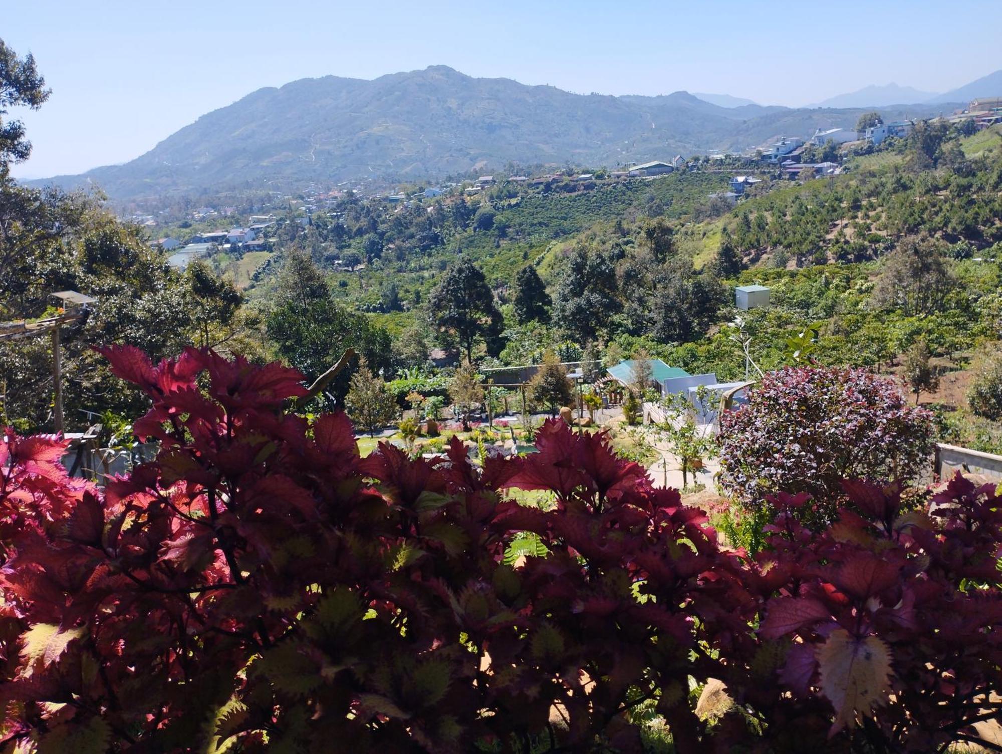 Homestay Chan Que Bao Loc Exteriör bild